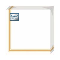 Салфетки 240х240 мм 3-сл., диз. "Золотая рамка", бело-золот., бум., 25 шт/упак "Bouquet" 15 упак/кор РОССИЯ 37888
