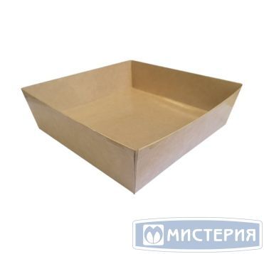 Картонный квадратный контейнер, внеш. 165х165х49 мм, внутр. 150х150х40 мм, ECO SmartPack