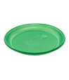 Тарелка одноразовая мелкая d205 мм, зел., ПС, 12 шт/упак "МИСТЕРИЯ" 960 шт/кор РОССИЯ